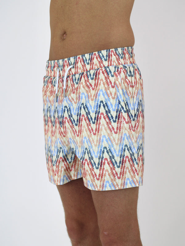 Pastel ZigZag Swim Shorts