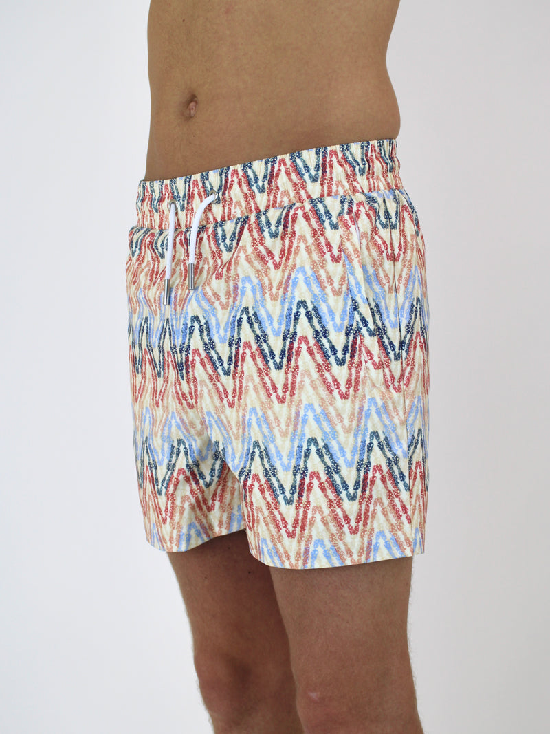 Pastel ZigZag Swim Shorts