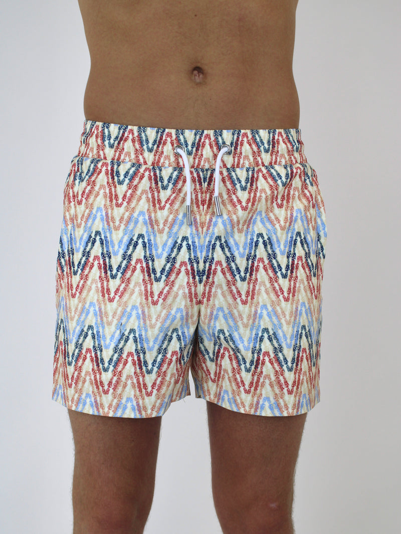 Pastel ZigZag Swim Shorts