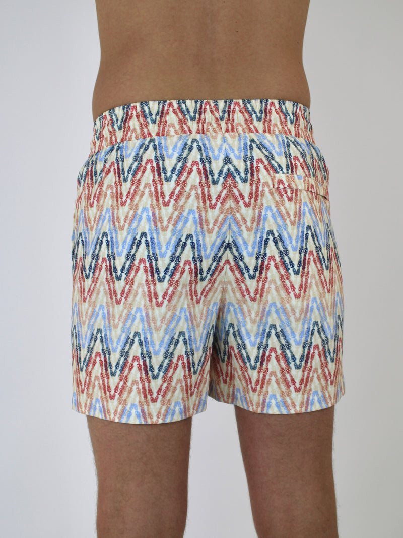 Pastel ZigZag Swim Shorts