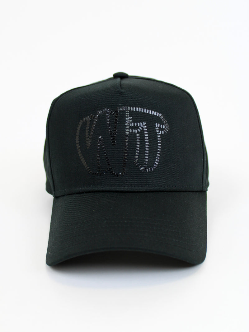 Black / Black WT Dash Cap