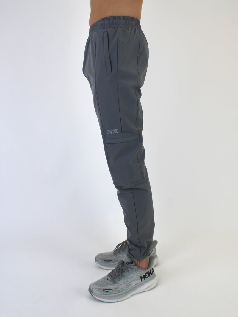 Light Grey V10 Pants