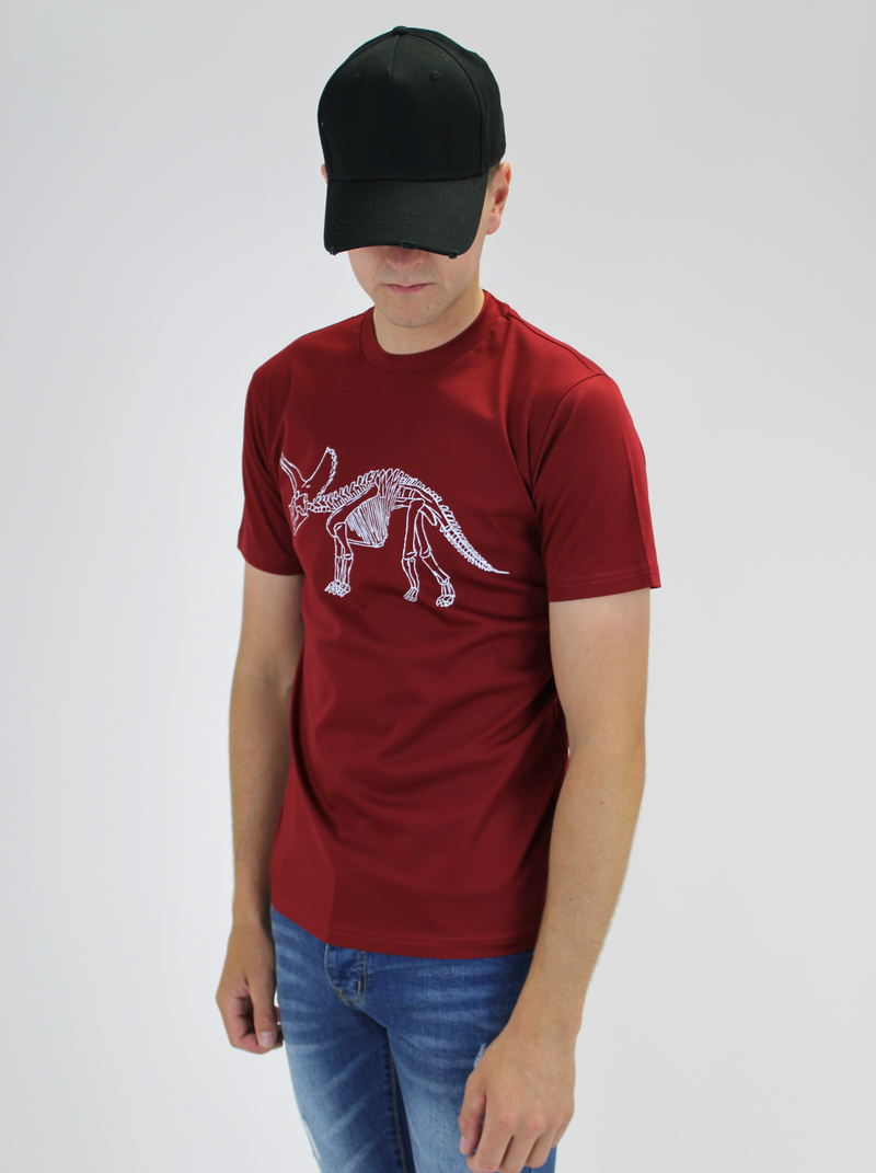 Kids Maroon Dino T-Shirt