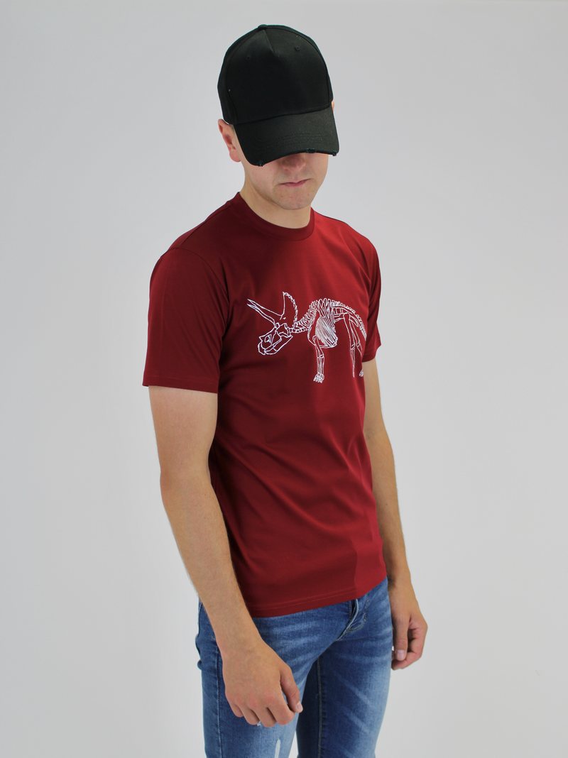 Kids Maroon Dino T-Shirt